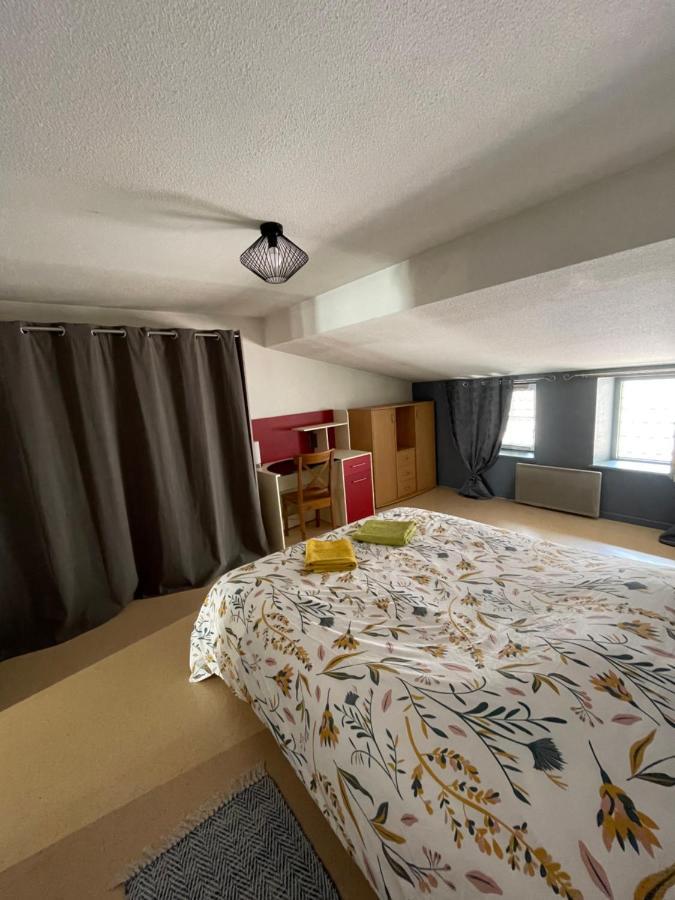 Appartement Cosy Rue Chaussee ヴェルダン・シュル・ムーズ エクステリア 写真